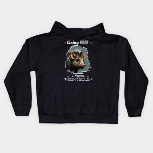 GOING GRAY PIG HAIR I PREFER RIGHTEOUS Kids Hoodie